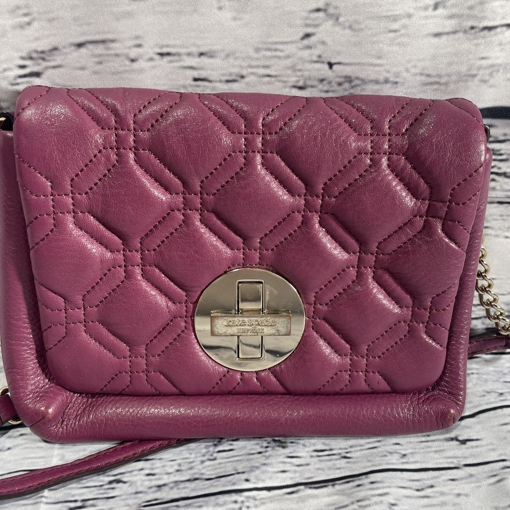 Kate Spade New York Astor Court Naomi Leather mini Crossbody Handbag EUC Purse